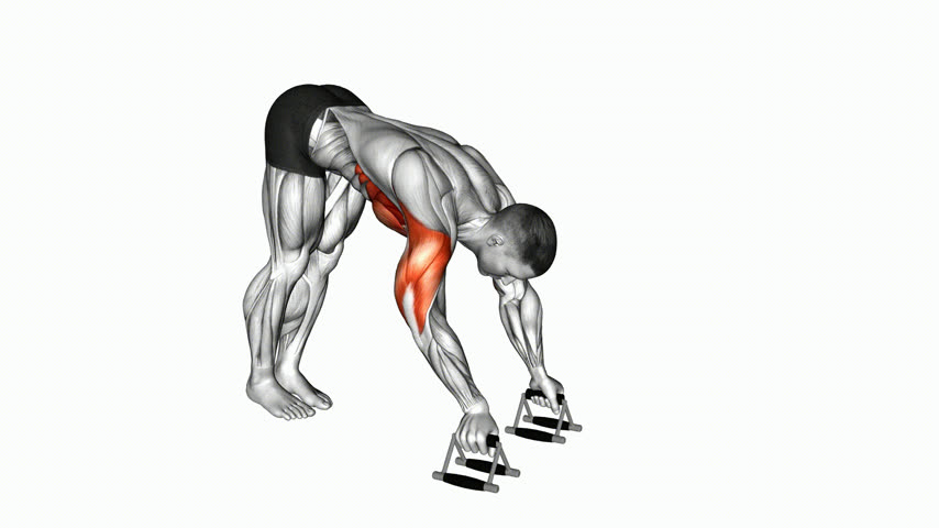 Flexão Pike com Parallettes