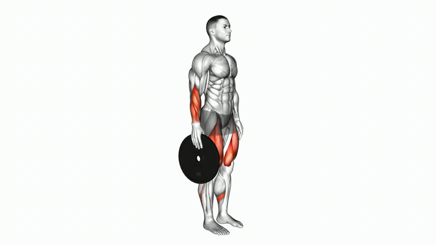 Pinça com Anilha (Plate Pinch)