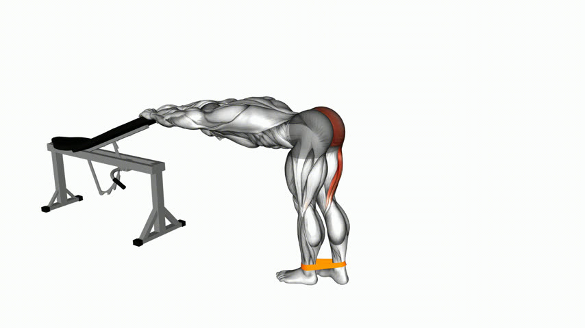 Coice Unilateral com Elástico (Posição Flexionada)