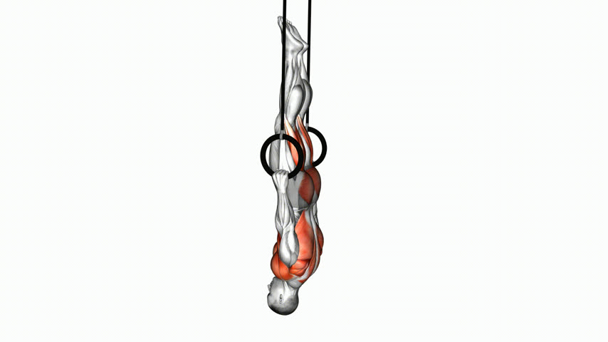 Back Lever nas Argolas