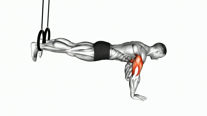 Flexão Declinada nas Argolas