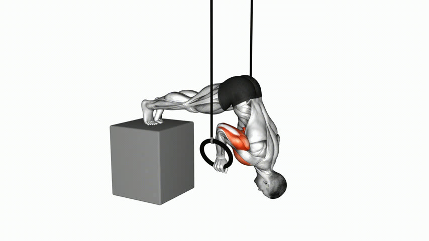 Flexão Pike Elevada com Déficit nas Argolas