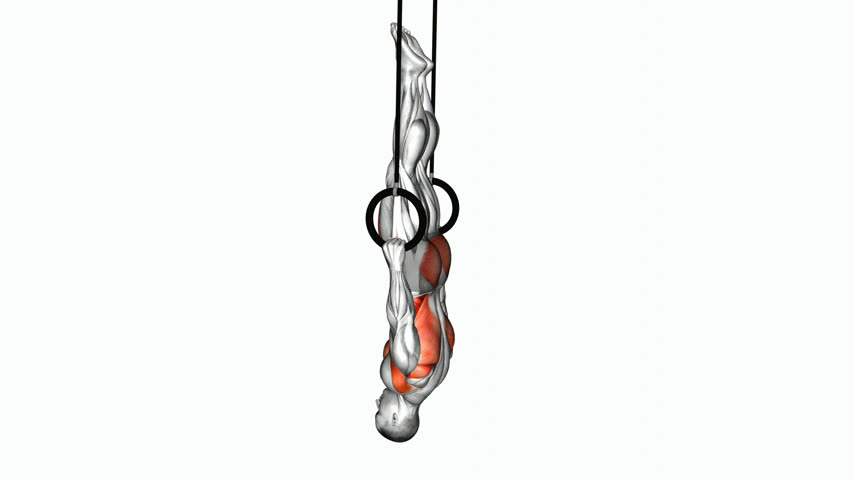 Front Lever nas Argolas
