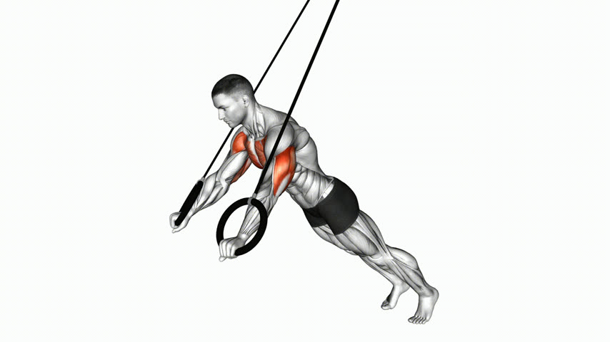 Flexão Inclinada nas Argolas