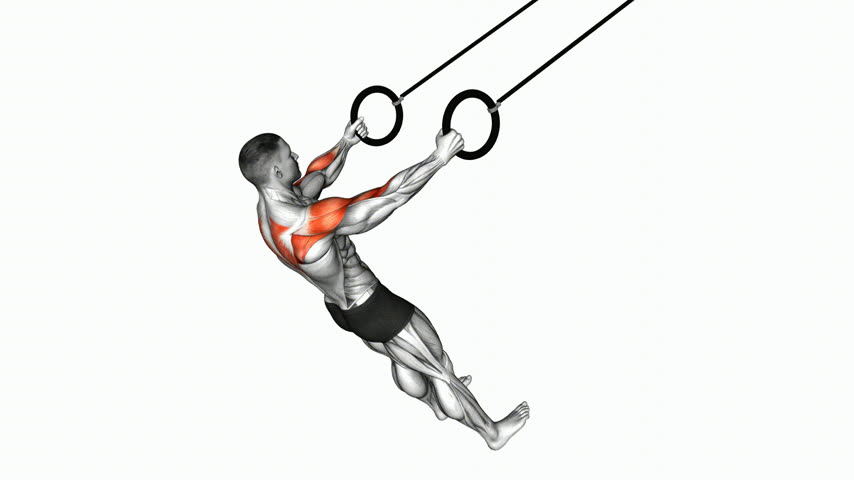 Remada para Deltoide Posterior nas Argolas