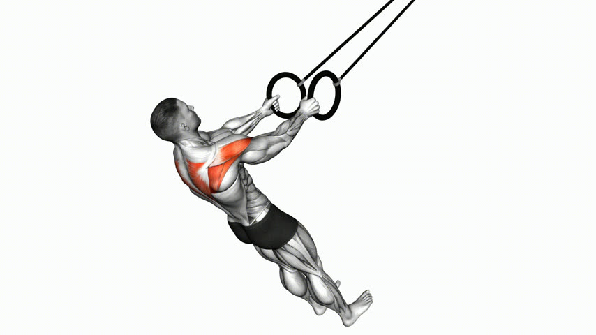 Crucifixo Inverso nas Argolas