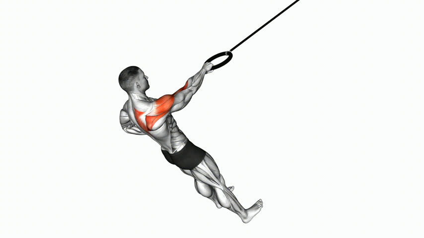 Remada Unilateral para Deltoide Posterior nas Argolas