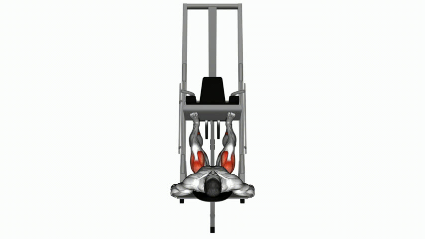 Leg Press 45 (Vista de Costas)