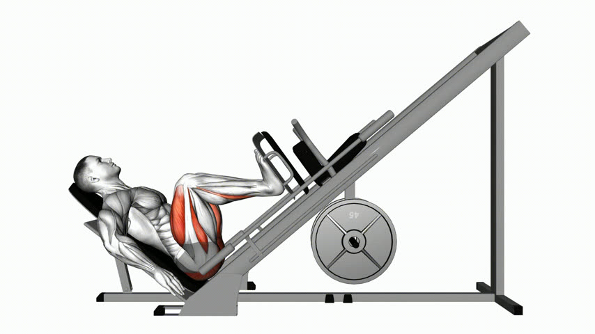 Leg Press 45 (Vista Lateral)