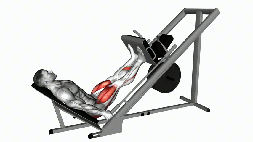 Leg Press 45 com Base Fechada