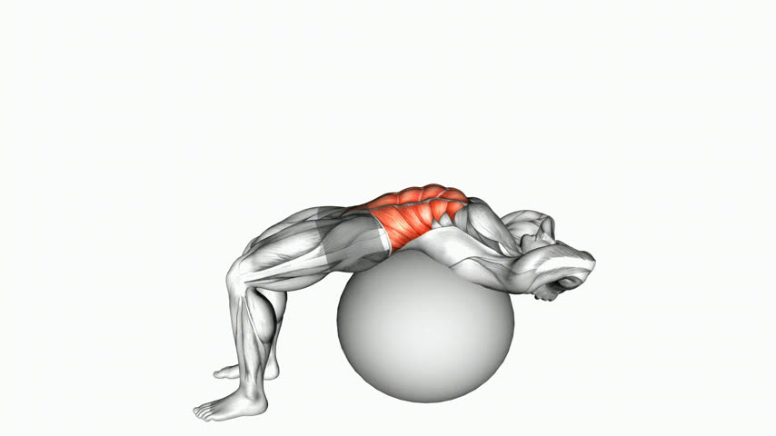Abdominal Crunch na Bola Suíça (Amplitude Completa, Mãos Atrás da Cabeça)