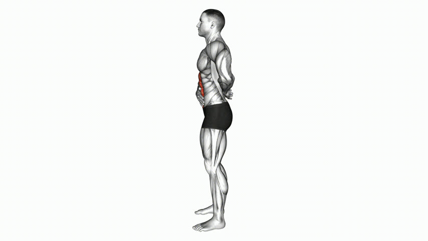 Vácuo Abdominal em Pé