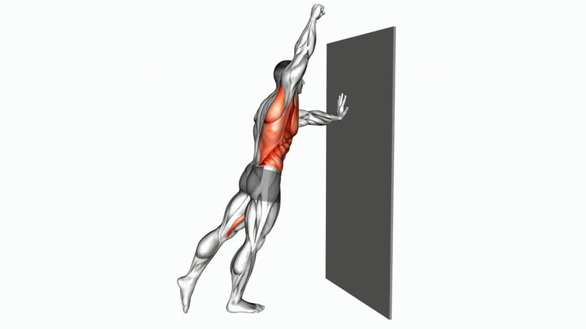Abdominal Bird Dog Inclinado em Pé Contra a Parede (Masculino)