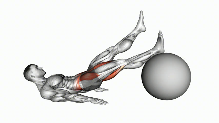 Flexão de Perna Unilateral com Quadril Estendido na Bola Suíça (Masculino)