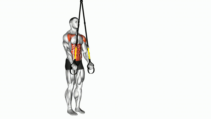 Fallout Abdominal Suspenso