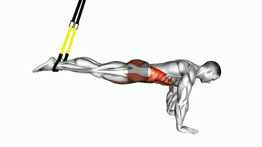 Rollout Abdominal Inverso na Fita de Suspensão