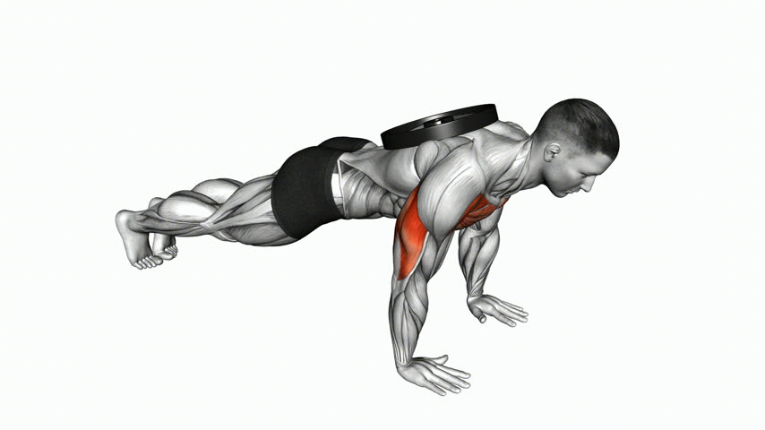Flexão de Braço com Anilha