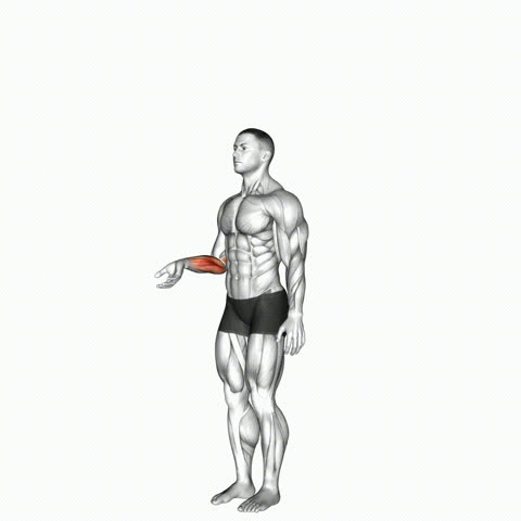 Flexão de Punho